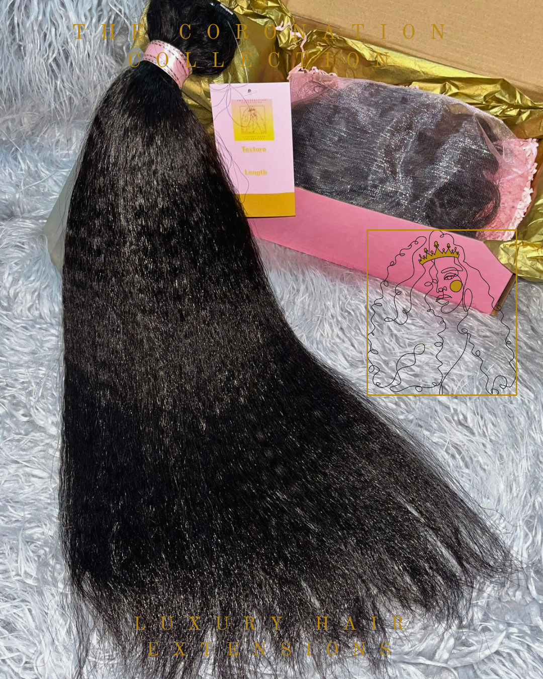 Burmese Kinky Straight