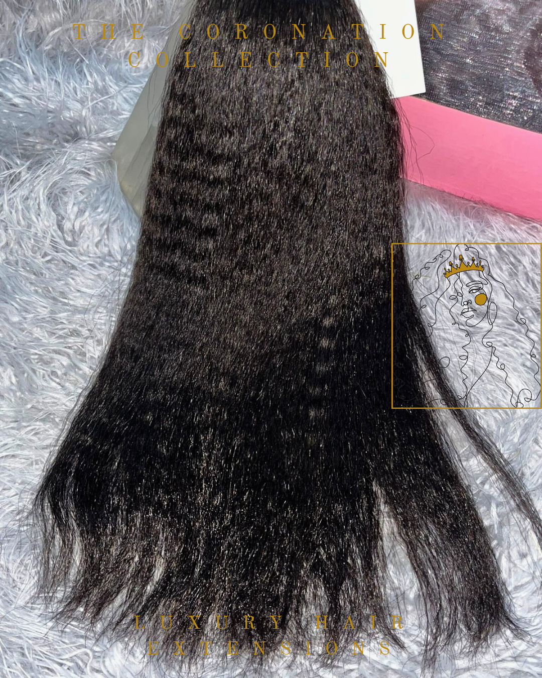Burmese Kinky Straight