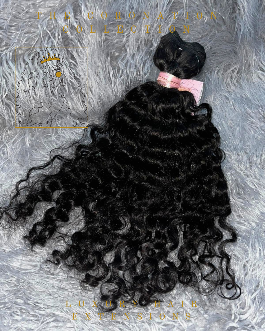 Burmese Curly