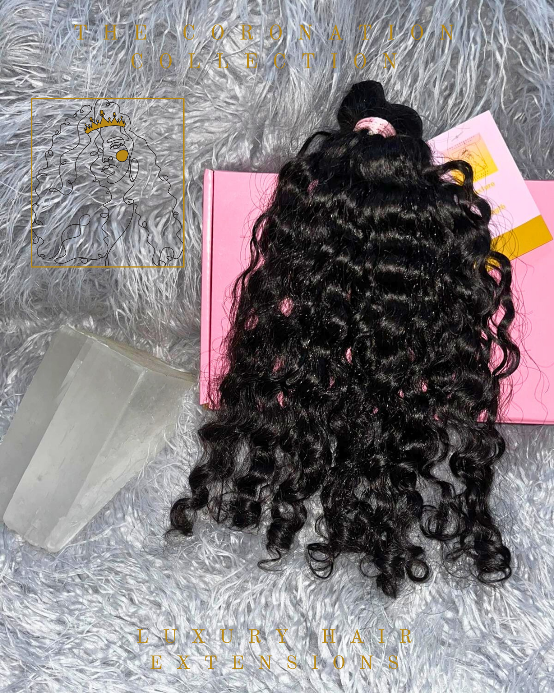Burmese Curly