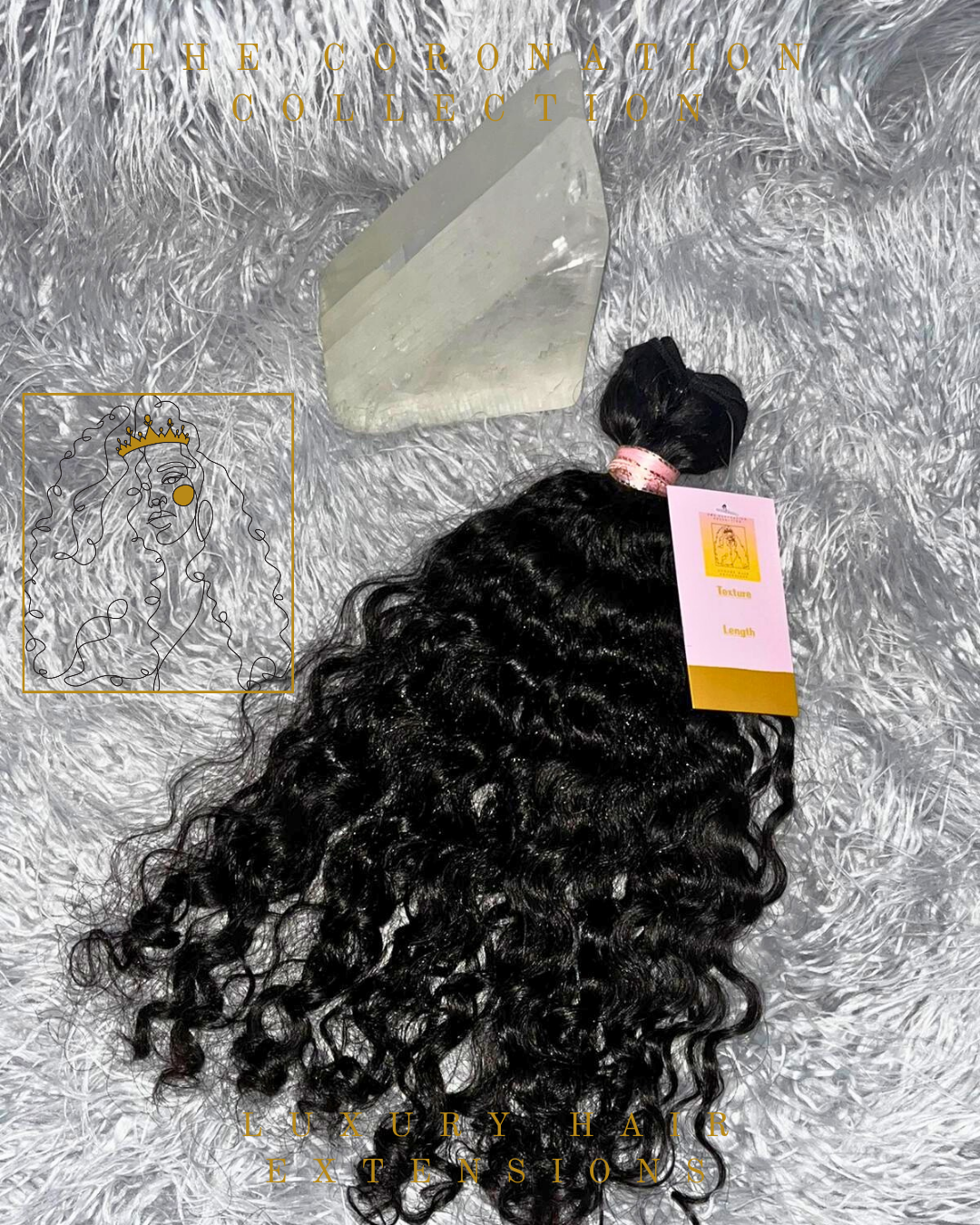 Burmese Curly
