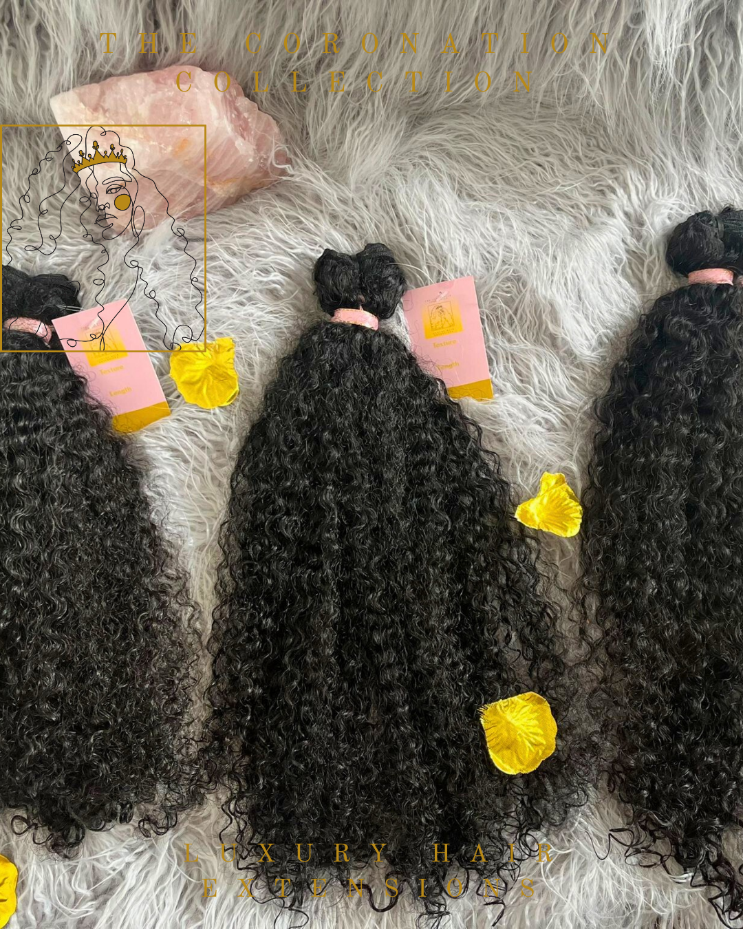 Burmese Kinky Curly