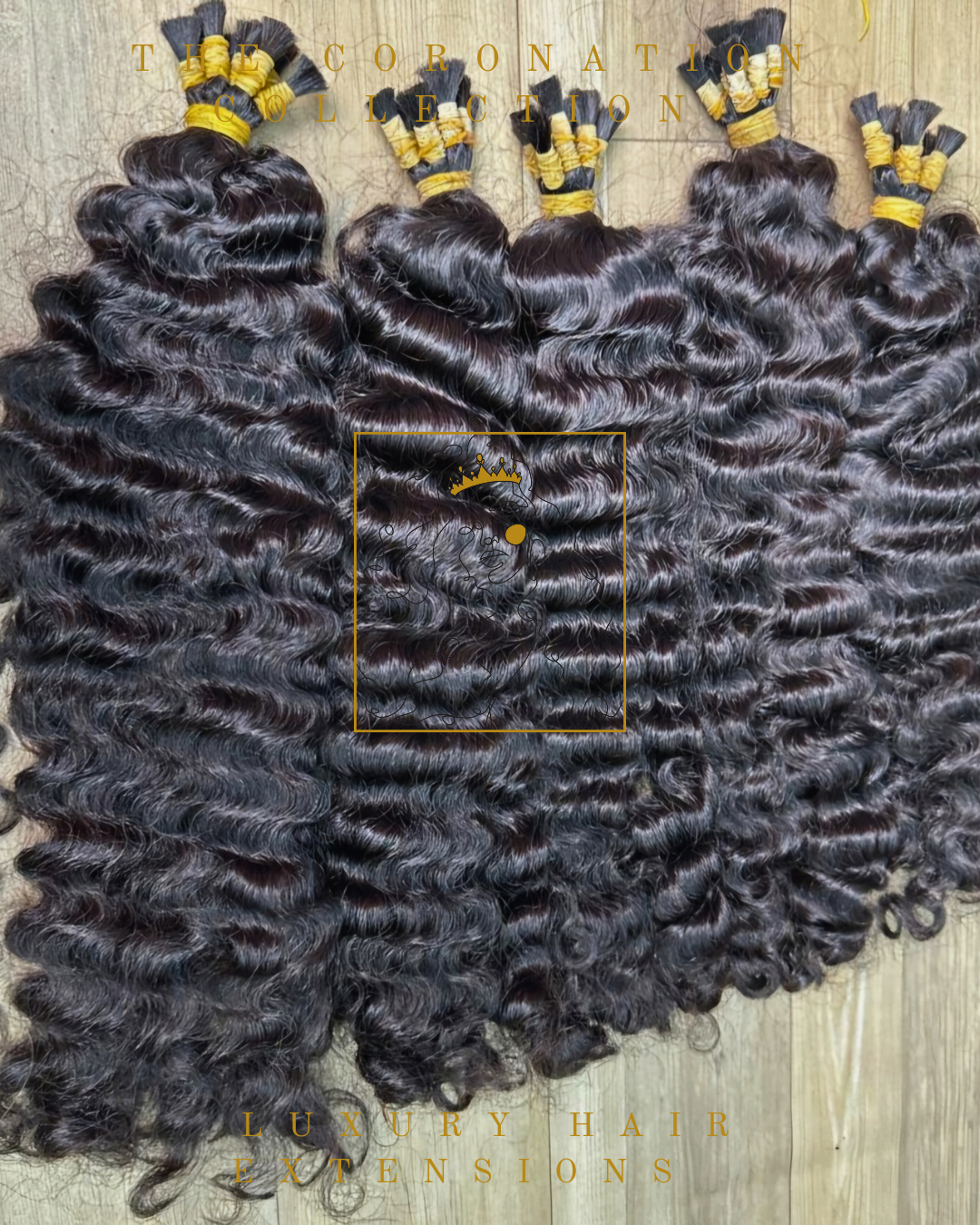 Burmese Curly