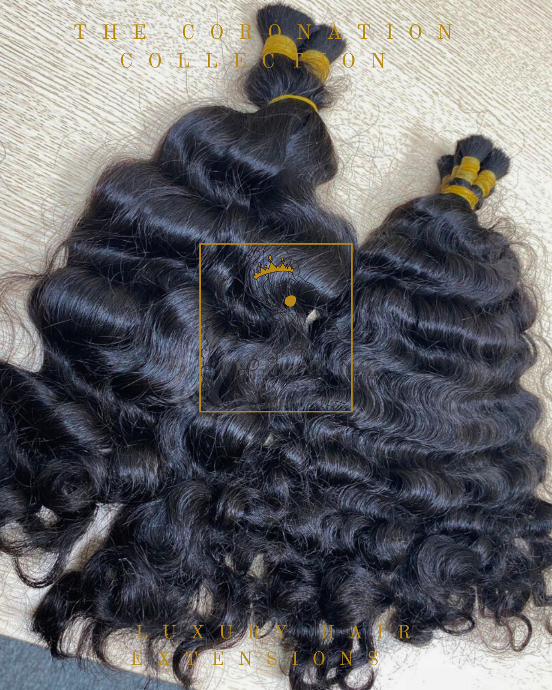 Burmese Curly